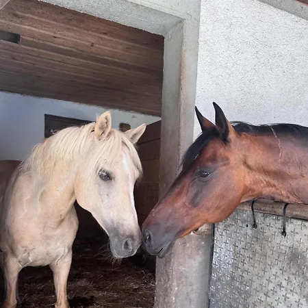 Haus Am Murgtalpfad 1 Und 2
